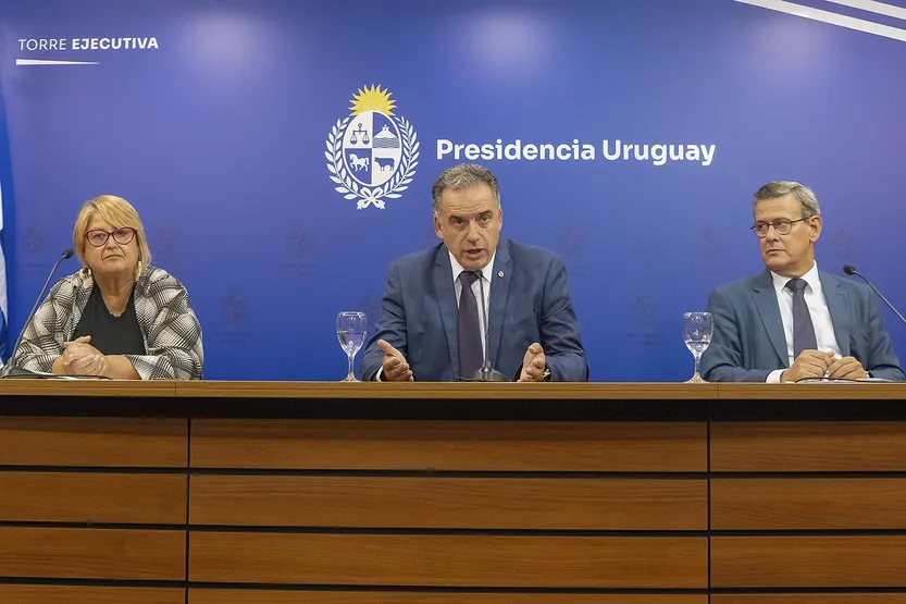 202650214 tapa cardama