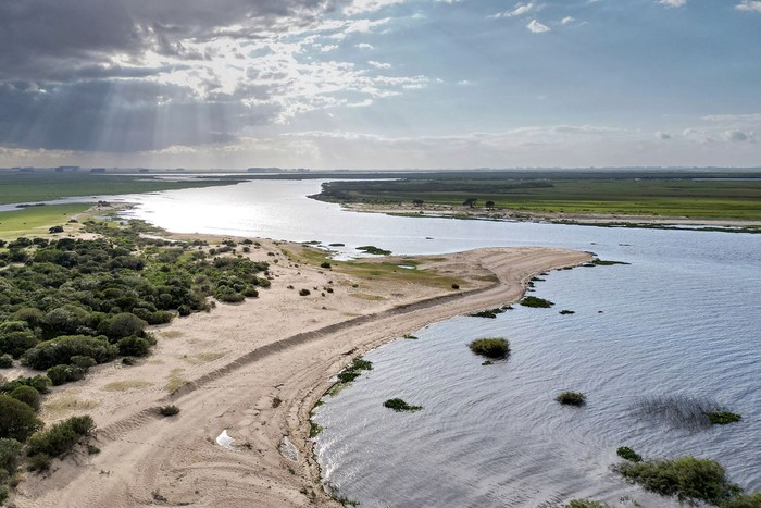 Desembocadura del río Tacuarí en la laguna Merín. · Foto: Eitan Abramovich, Dialogue Earth