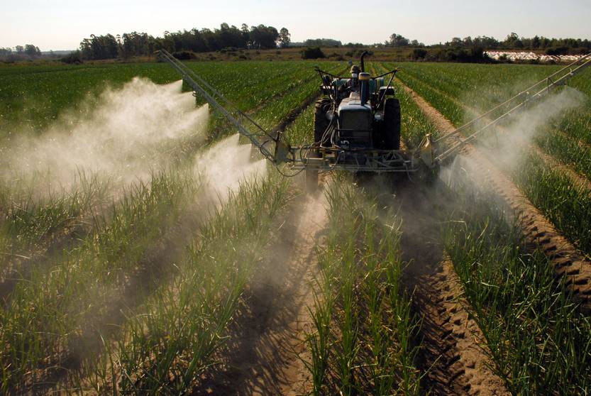ciencia pesticidas_MCS_1260