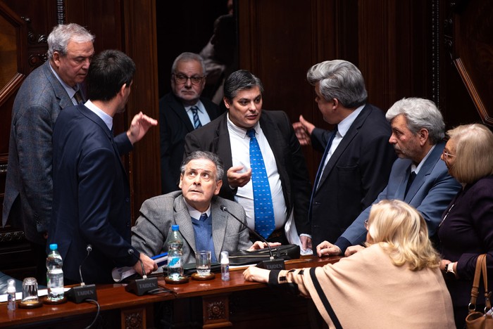 Guillermo Fossati (c) durante la interpelación, el 15 de agosto, en el Senado. · Foto: Gianni Schiaffarino