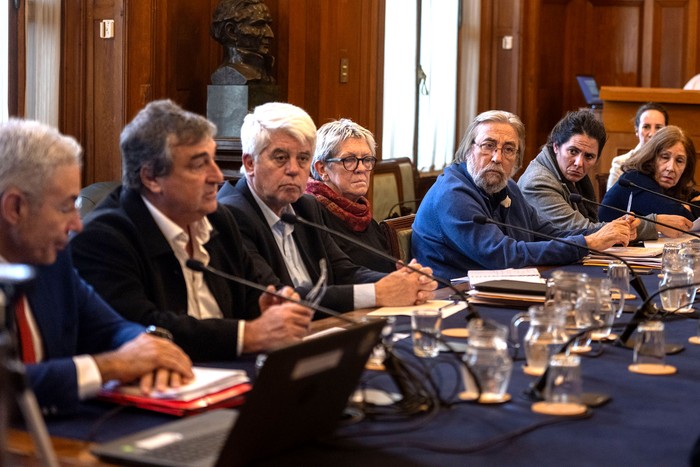 Comisión por Caja de Profesionales de la Cámara de Senadores, el 4 de junio. · Foto: Mara Quintero Comisión por Caja de Profesionales de la Cámara de Senadores, el 4 de junio. · Foto: Mara Quintero