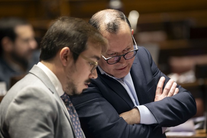 Gastón Roel Bottari y Álvaro Perrone, el 17 de junio, en la Cámara de Diputados. · Foto: Ernesto Ryan Gastón Roel Bottari y Álvaro Perrone, el 17 de junio, en la Cámara de Diputados. · Foto: Ernesto Ryan