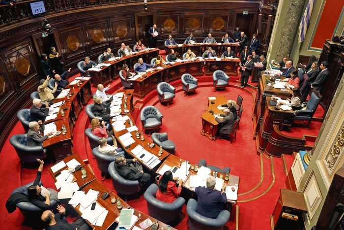La Cámara de Senadores vota la ley de reforma de la Caja de Profesionales. · Foto: Rodrigo Viera Amaral