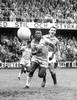 20221229 tapa pele