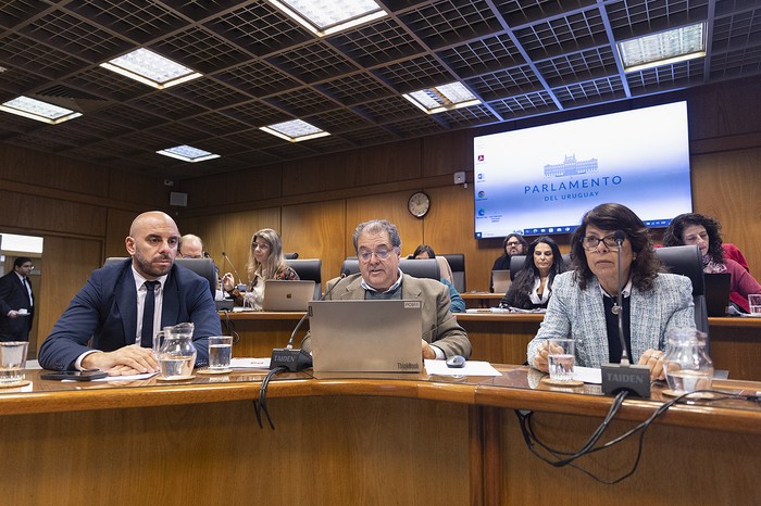 Los representantes de la Caja de Jubilaciones y Pensiones de Profesionales Universitarios Pablo
Schiavi, Daniel Alza y Virginia Romero, en la comisión especial del Senado. · Foto: Ernesto Ryan