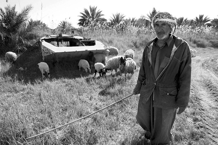 Un pastor junto a un tanque iraquí destruido y abandonado durante la guerra de 2003 con Estados Unidos, en Karbala, al sur de Irak. / foto: Alaa Al-Shemaree, Efe