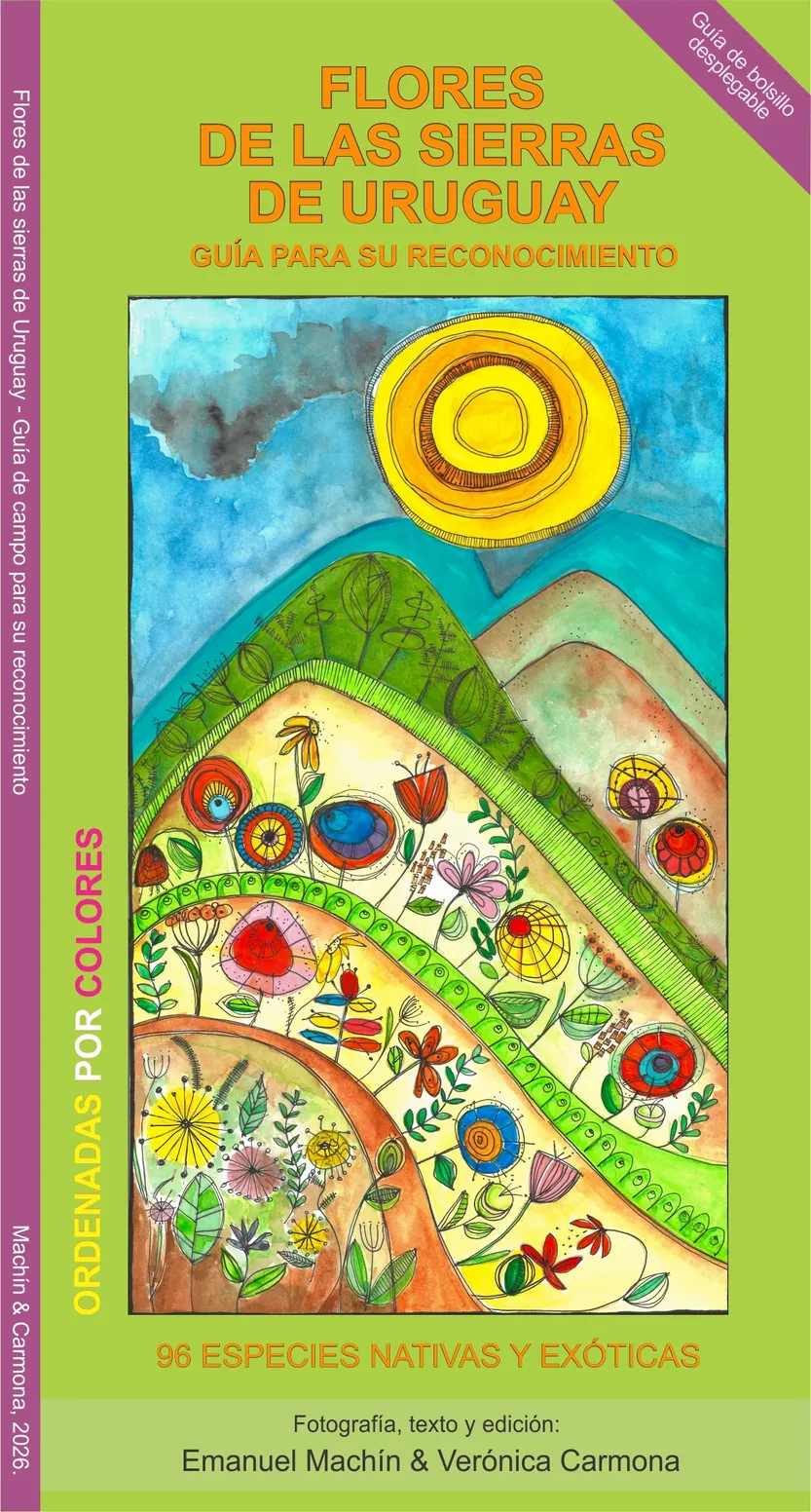 Flores de las sierras de Uruguay