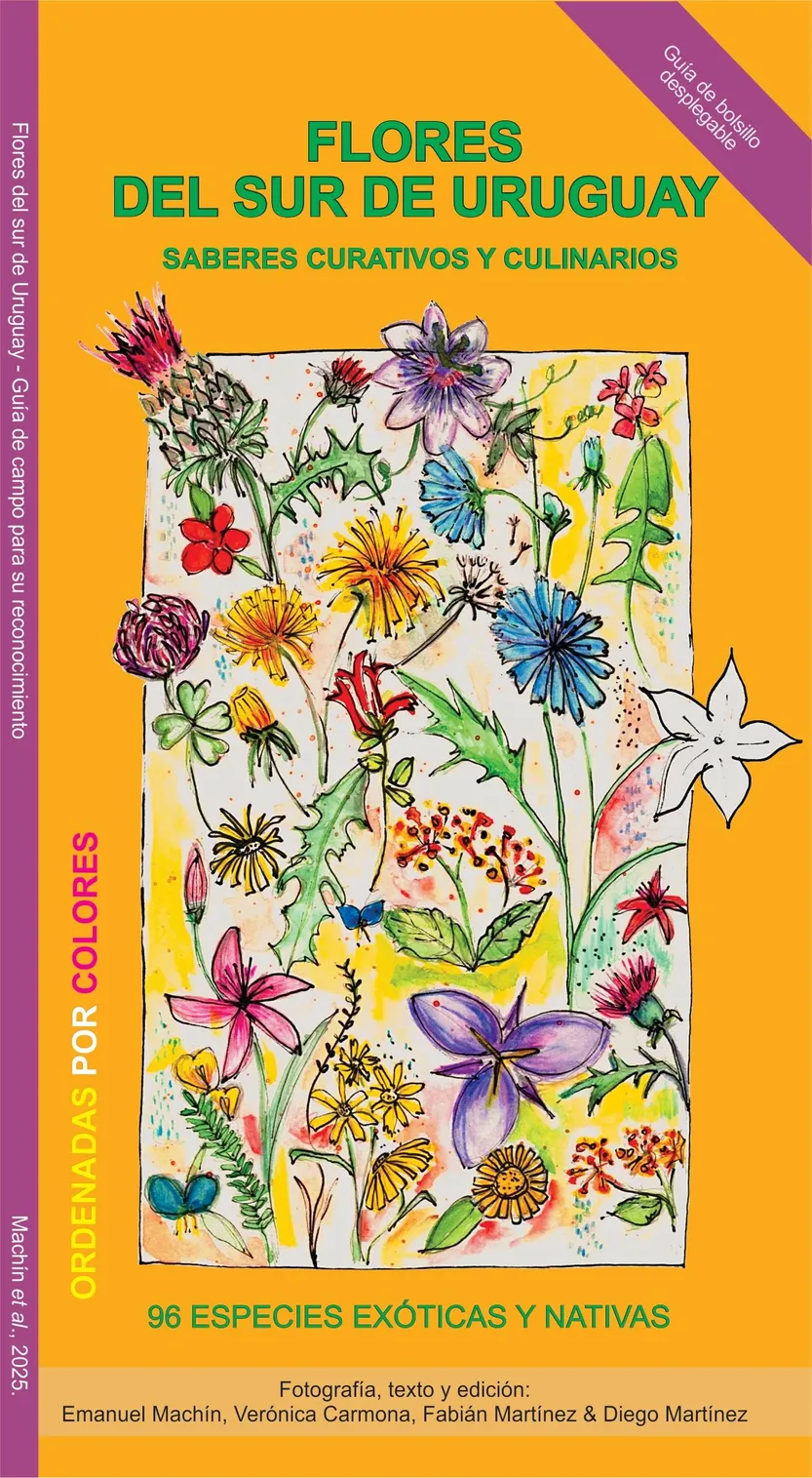 Flores del sur de Uruguay