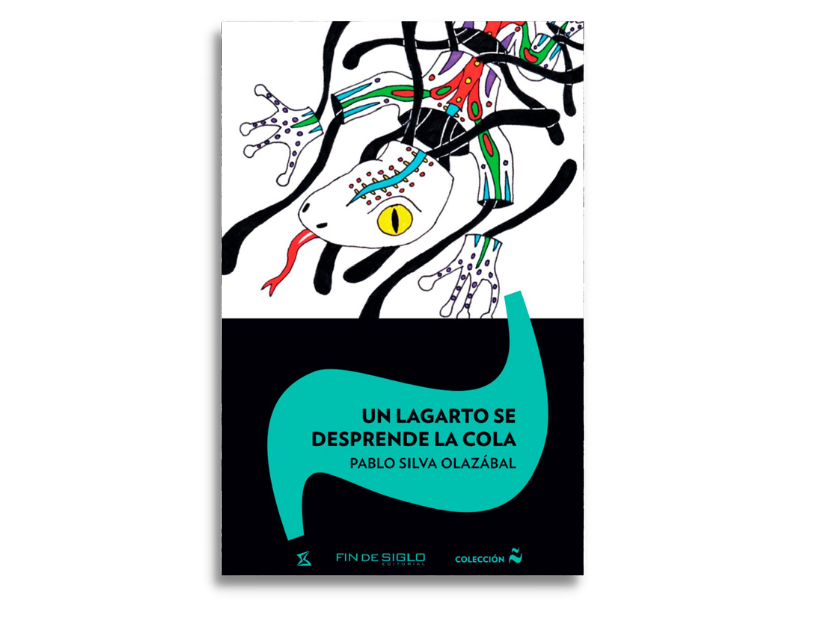Un lagarto, tapa editada