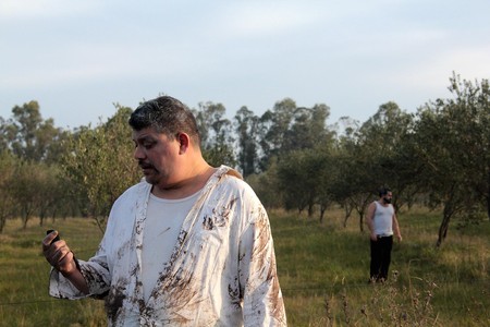 El polvo en el vendaval. El polvo en el vendaval.