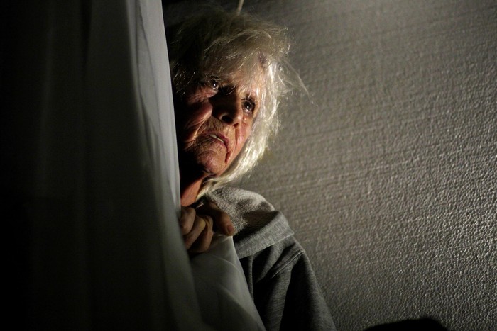La ancianidad de los gorilas.
 · Foto: Guzmán Montgomery