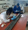 20221119 p12-13 ciencia f4