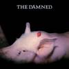 the damned 61sjlP+kN5L._UF1000,1000_QL80_
