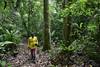 tierras indigenas AFP__20250109__36QL7ER__v1__HighRes__BrazilCop30EnvironmentClimateAmazoniaBioeconomy.jpg