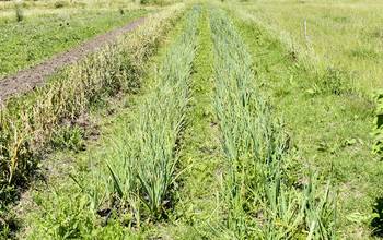 Foto principal del artículo 'Agronegocios del Plata, del empresario Marcos Guigou, firmó un compromiso para adquirir Goyaike, la pata uruguaya del Grupo Pérez Companc' · Foto: Ignacio Dotti