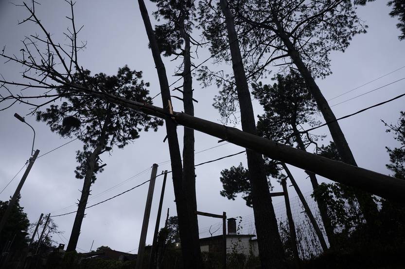 20260110 tormenta cables