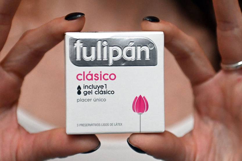 tulipan RS289164_20250707_AM007