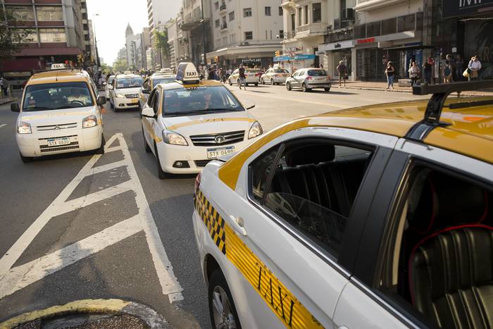 Taxis montevideanos (archivo, enero de 2019). · Foto: Pablo Vignali