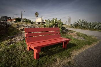 Foto: Gentileza Daniel Caselli.