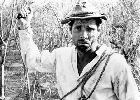 Foto principal del artículo 'Fuerza y calor' Foto principal del artículo 'Fuerza y calor'