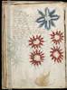 Foto principal del artículo 'Voynich, el código imposible' Foto principal del artículo 'Voynich, el código imposible'