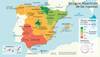 le monde 20 - La izquierda española y la cuestión identitaria