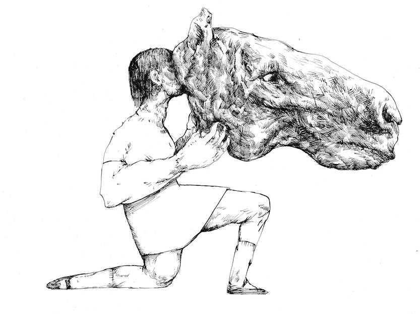 Cabeza de caballo