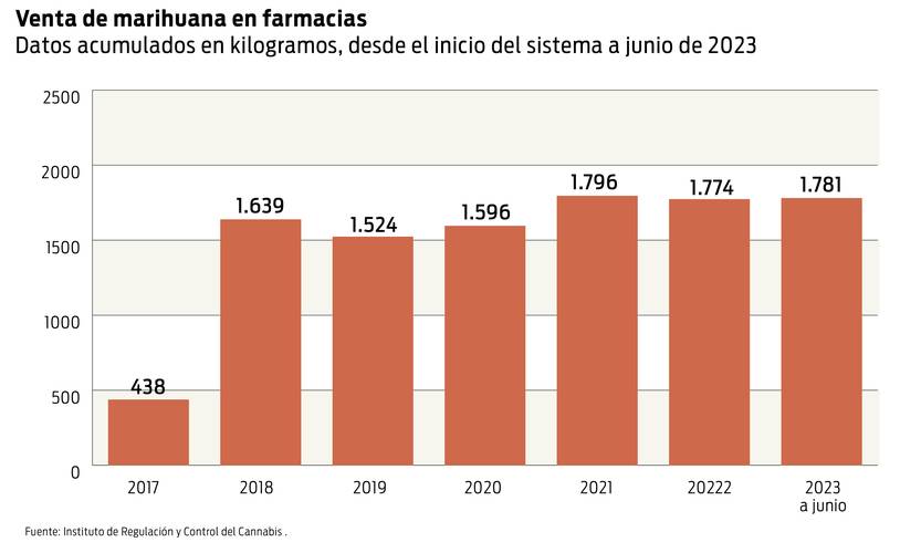 Producción y consumo de marihuana en farmacias