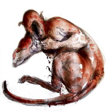 Foto principal del artículo 'Revisar todo' · Ilustración: Ramiro Alonso