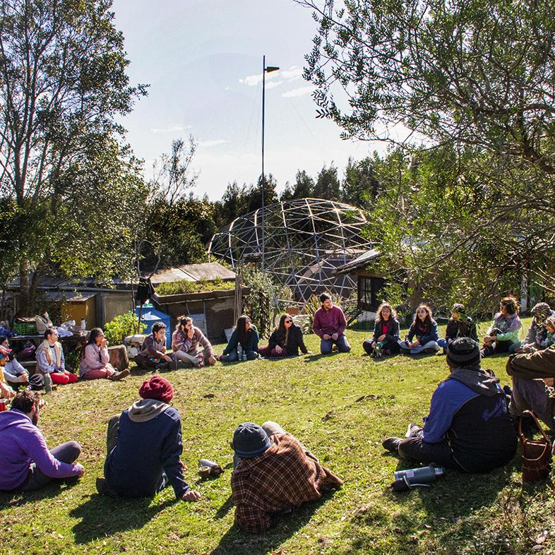 Foto principal del artículo 'Yerbas de hippiátrico' · Foto: Marcelo Casacuberta