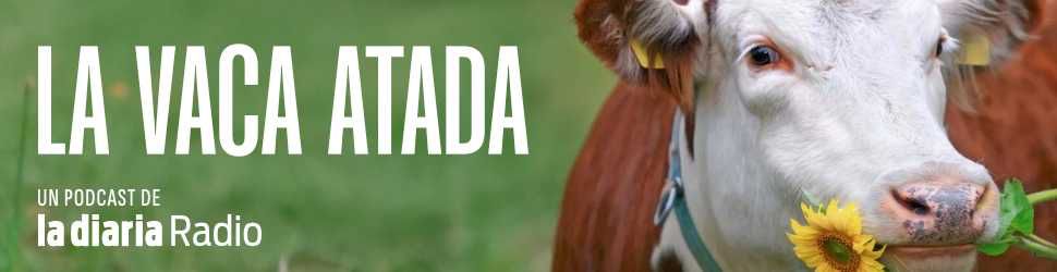 La vaca atada