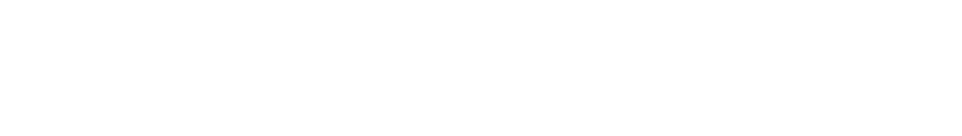 La diaria radio