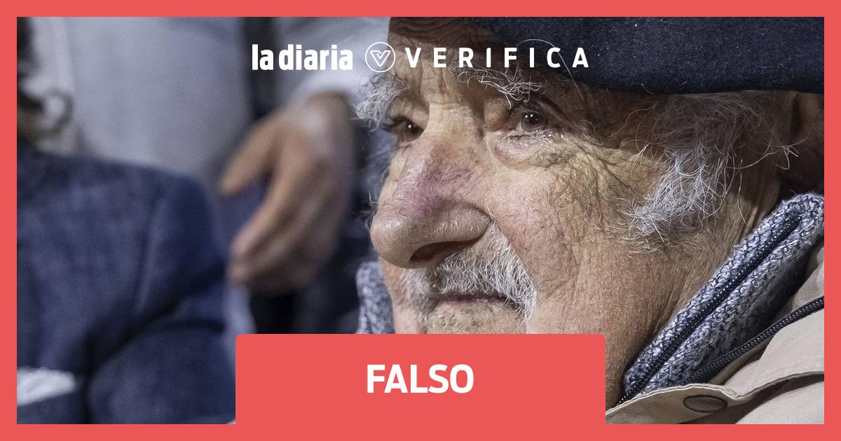ladiaria.com.uy