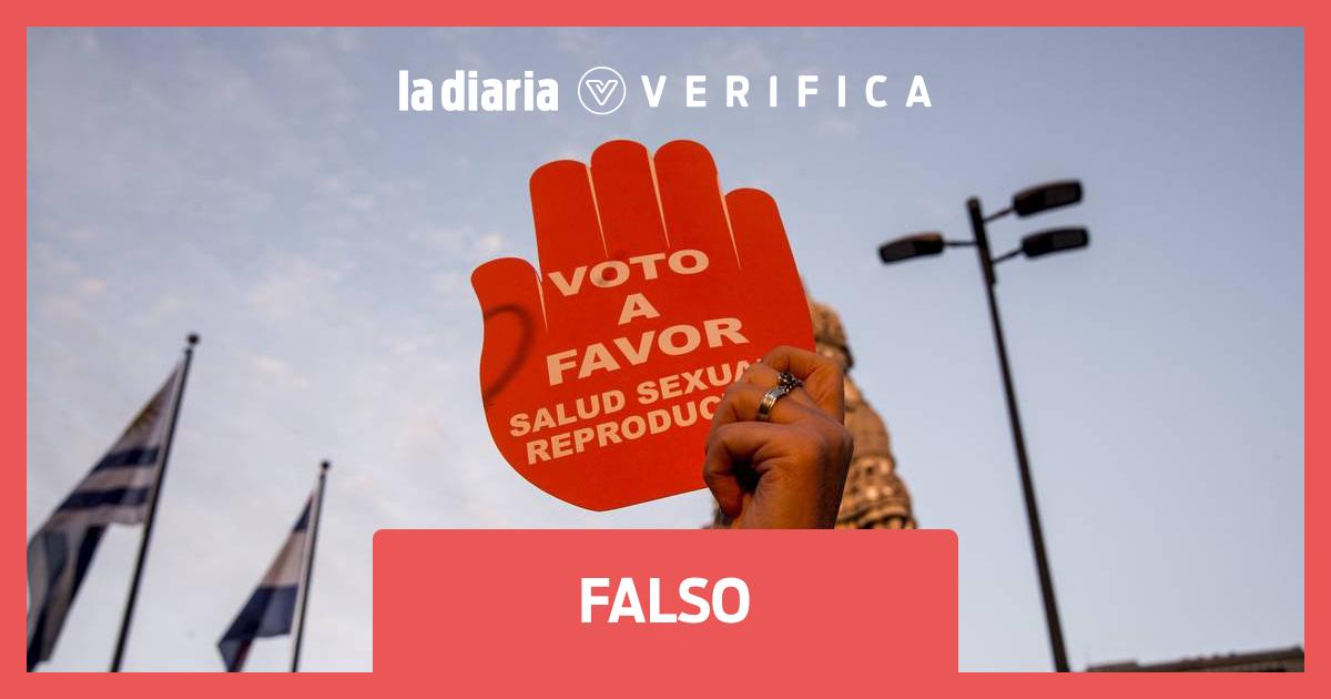 Image accompanying "En la mayoría del mundo el límite de tiempo de gestación para IVE es hasta 19 o 20 semanas en todos los lugares donde está"